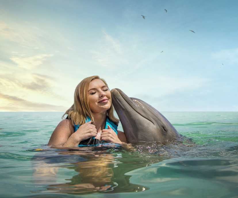 Dolphin Encounter