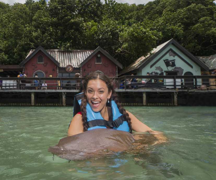 Shark Encounter