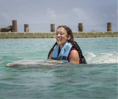 Dolphin Swim Adventure