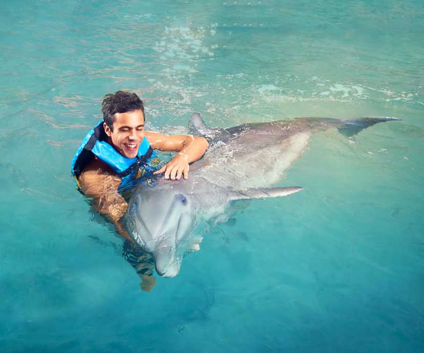 Yaaman + Dolphin Encounter