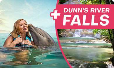 Dolphin Cove Jamaica