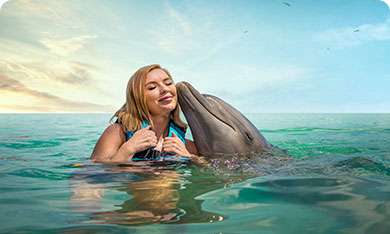 Dolphin Encounter