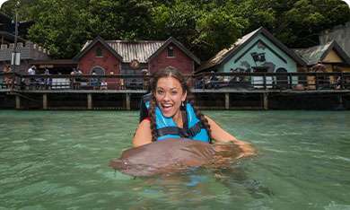 Shark Encounter