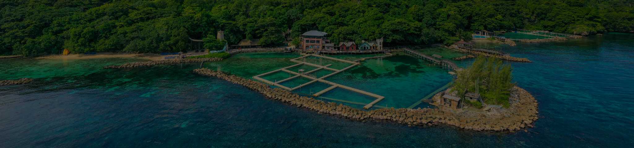 Dolphin Cove