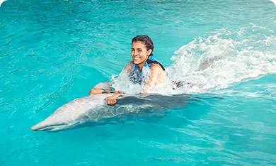 Palace Dolphin Swim