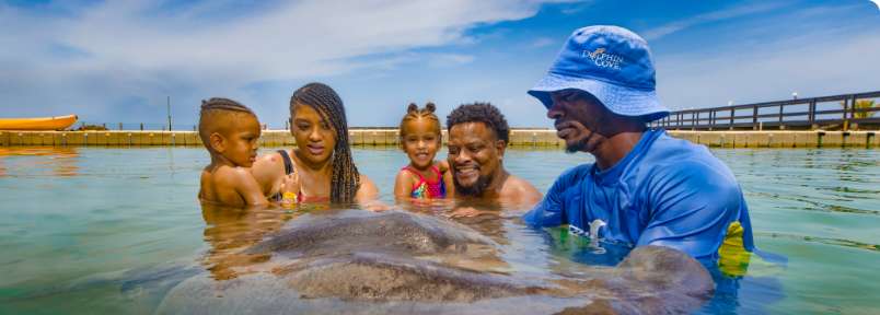 Dolphin Cove Montego Bay