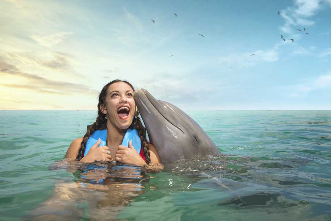 Dolphin Cove Montego Bay