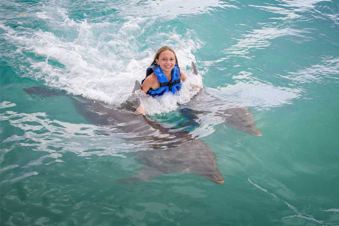 Dolphin Cove Montego Bay