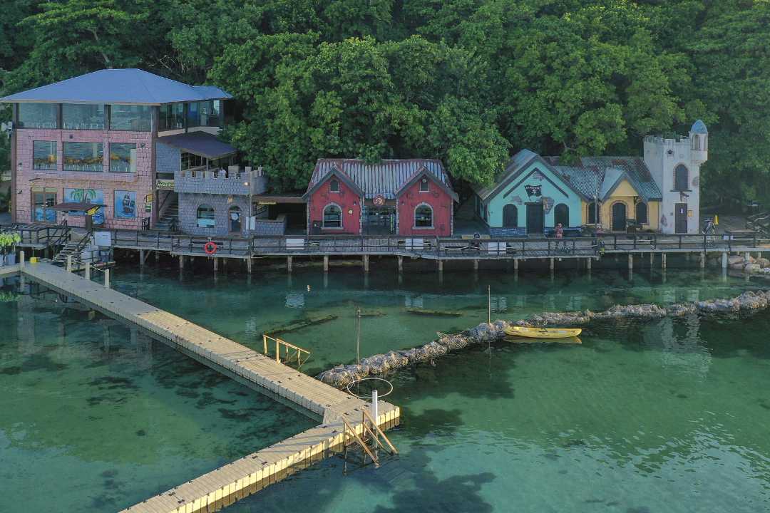 Dolphin Cove Ocho Rios Jamaica