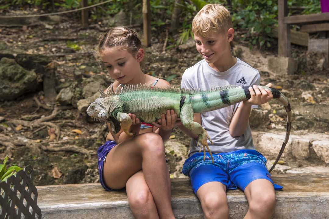 Kids with a tame iguana
