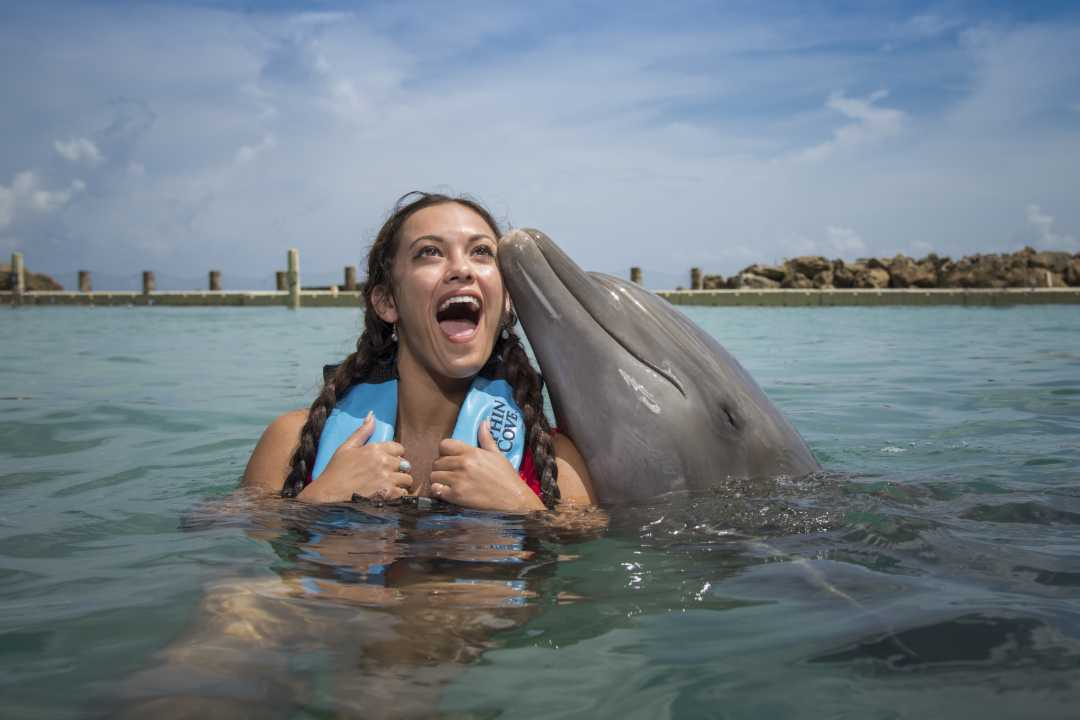 Dolphin Cove Ocho Rios Jamaica