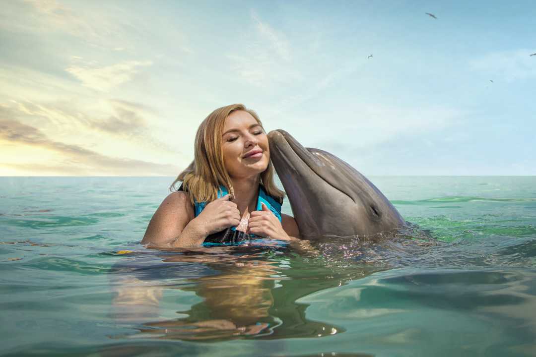 Dolphin Cove Ocho Rios Jamaica