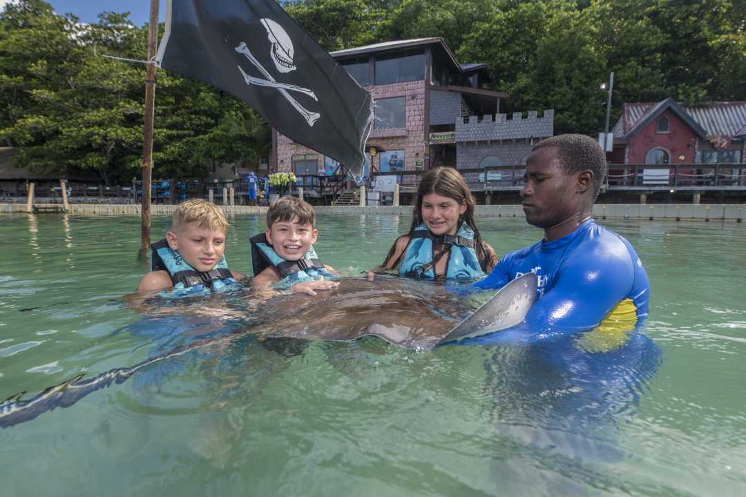 Stingray Encounter