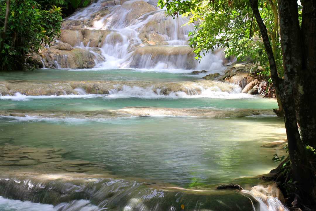 Dolphin Cove Ocho Rios Jamaica