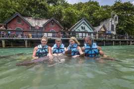 Dolphin Cove Ocho Rios Jamaica