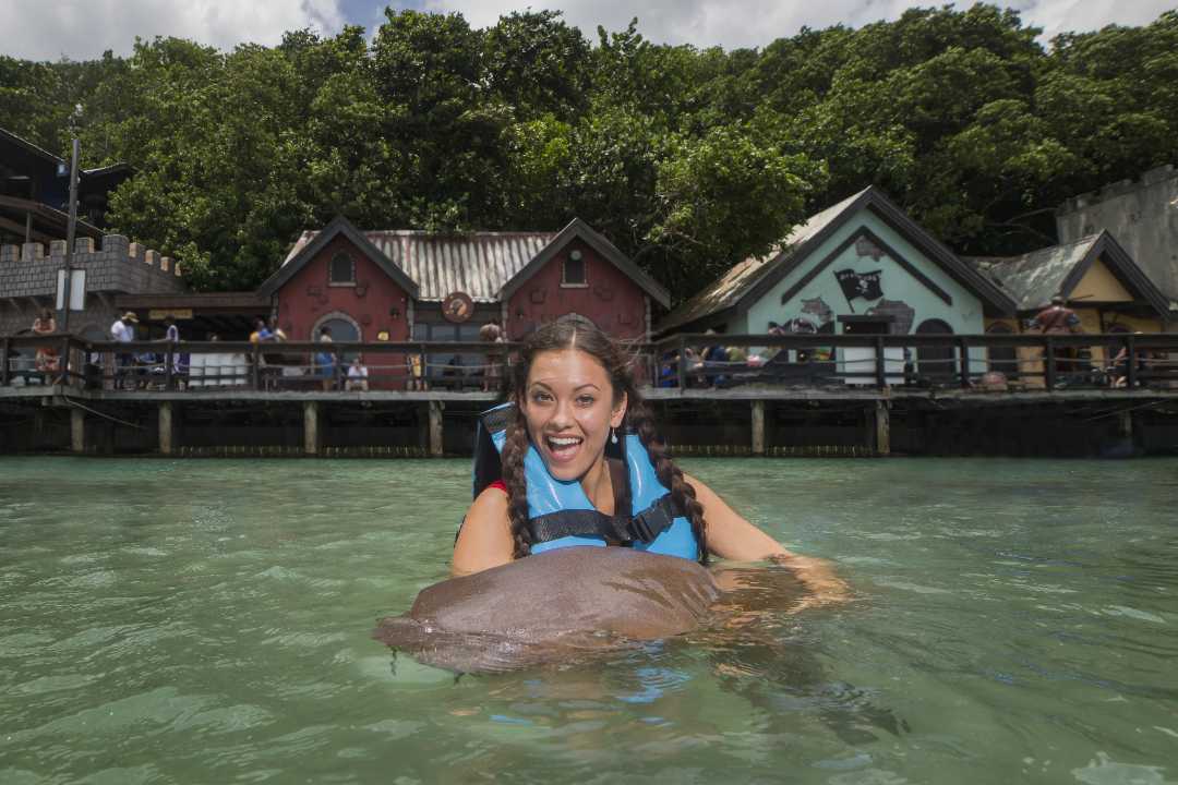 Dolphin Cove Ocho Rios Jamaica