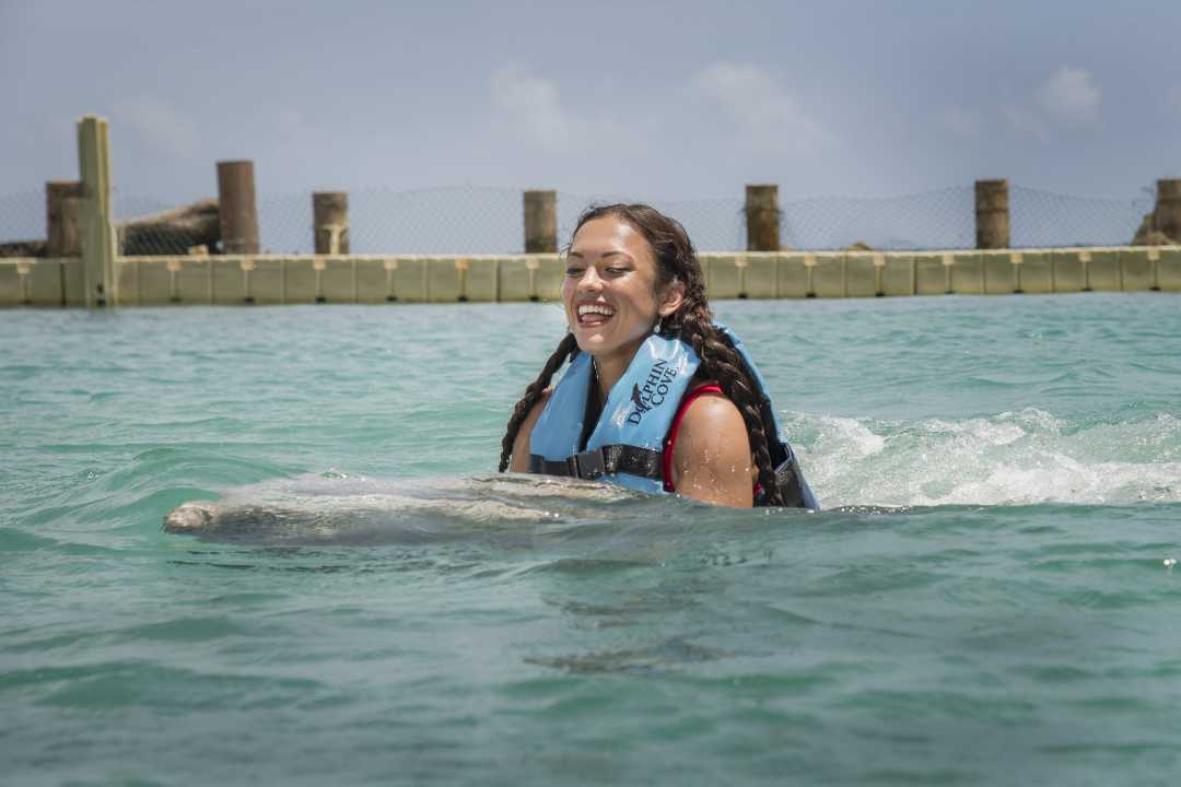 Dolphine Encounter