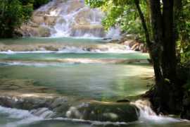 Dolphin Cove Ocho Rios Jamaica