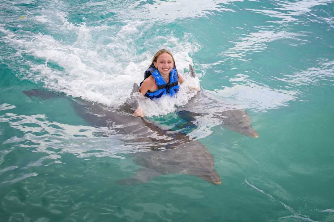 Dolphin Cove Ocho Rios Jamaica