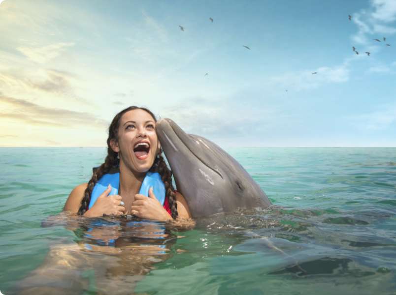 Exploring Dolphin Cove in Jamaica – An Unforgettable All-Inclusive Experience