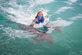 Dolphin Cove in Puerto Seco Beach